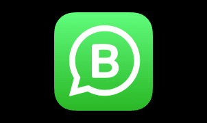 WhatsApp Business for Android Download Now!